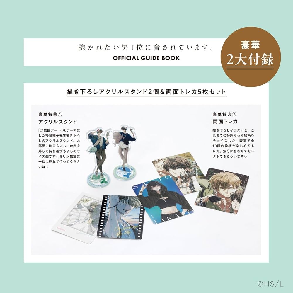 抱かれたい男1位に脅されています。OFFICIAL GUIDE BOOK